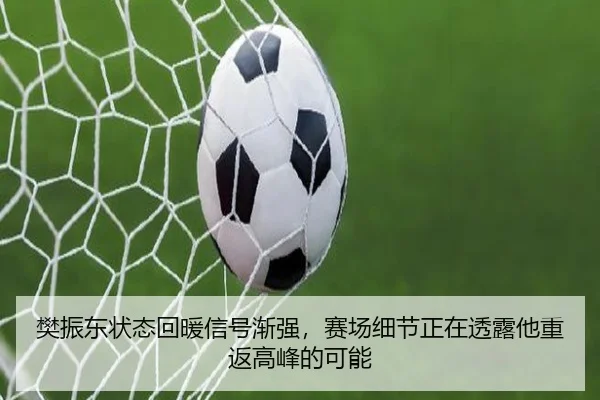 樊振东状态回暖信号渐强，赛场细节正在透露他重返高峰的可能